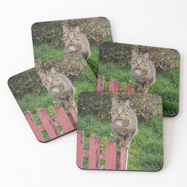 Item preview, Balancing On The Gate | My Australia designed and sold by SerendipityNow.