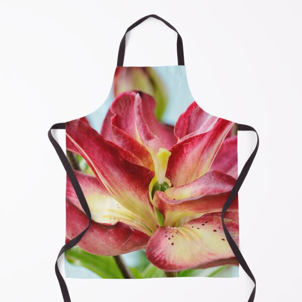 Item preview, Lilium 'Double Sensation' Double Asiatic lily designed and sold by Chris Burrows.