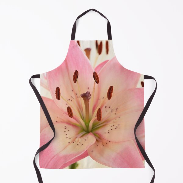 Item preview, Lilium 'Rosella's Dream' Asiatic lily designed and sold by Chris Burrows.