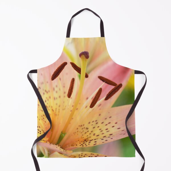 Item preview, Lilium  'Pink Pixie'  Dwarf Asiatic lily  designed and sold by Chris Burrows.