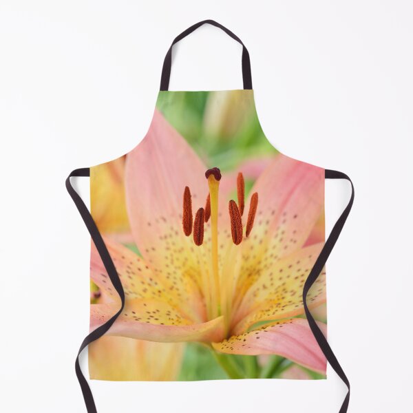 Item preview, Lilium  'Pink Pixie'  Dwarf Asiatic lily  designed and sold by Chris Burrows.