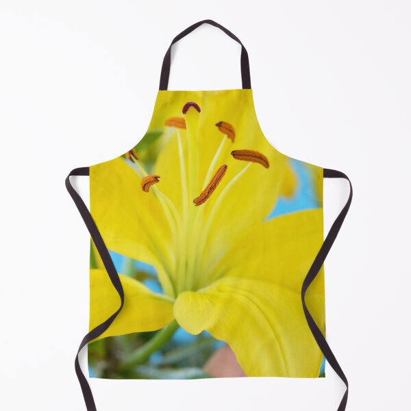 Item preview, Lilium  'Butter Pixie'  Dwarf Asiatic lily  designed and sold by Chris Burrows.