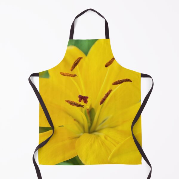 Item preview, Lilium  'Butter Pixie'  Dwarf Asiatic lily  designed and sold by Chris Burrows.
