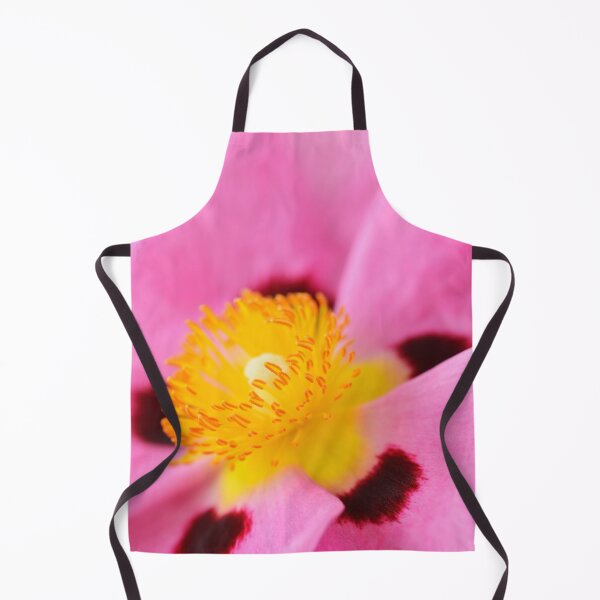 Item preview, Cistus × purpureus AGM Purple-flowered rock rose designed and sold by Chris Burrows.