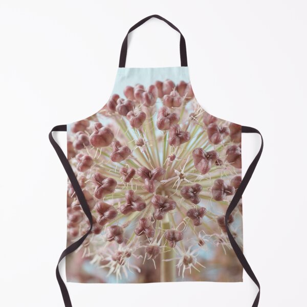 Item preview, Allium karataviense AGM Kara Tau garlic Seed heads designed and sold by Chris Burrows.