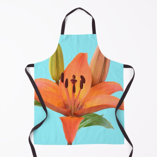 Item preview, Lilium  'Orange Pixie'  Dwarf Asiatic lily  designed and sold by Chris Burrows.