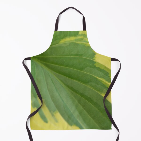 Item preview, Hosta 'Wide Brim' Plantain lily designed and sold by Chris Burrows.