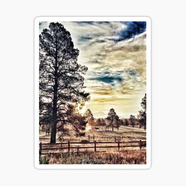 Sunrise on the Ranch Sticker