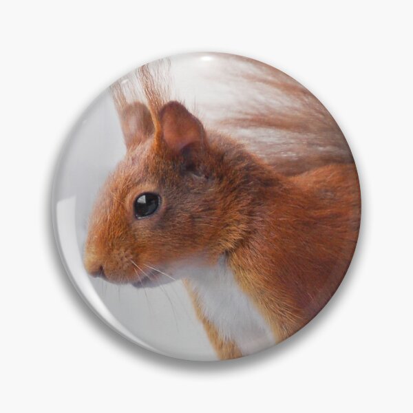 Item preview, Squirrel - Squirrel - Écureuil designed and sold by Glineur.