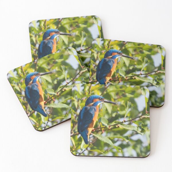 Item preview, Kingfisher designed and sold by Sean Foreman.