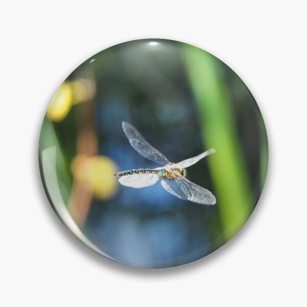 Item preview, Southern Migrant Hawker designed and sold by Sean Foreman.