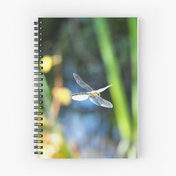 Item preview, Southern Migrant Hawker designed and sold by Sean Foreman.