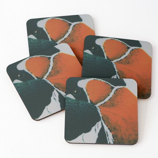 Red-breasted goose Coasters (Set of 4)