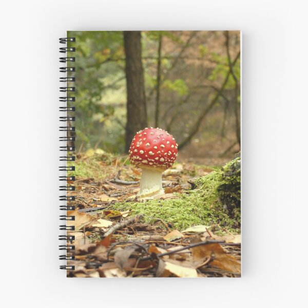 Item preview, Fairytale Fly Agaric designed and sold by C Rose.