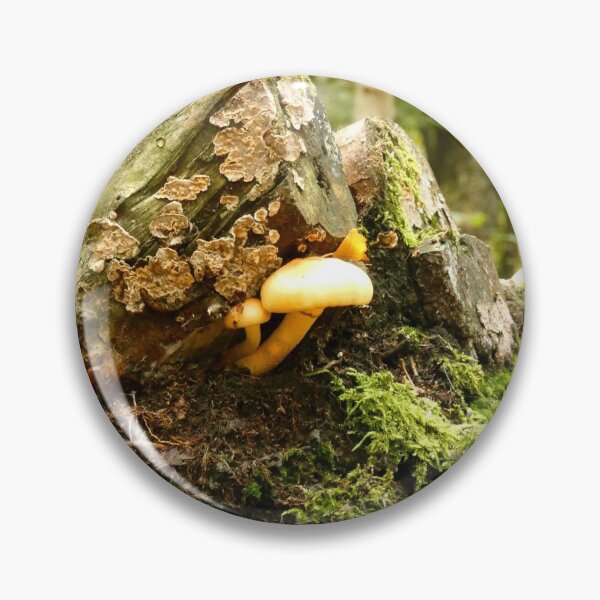 Item preview, Autumnal Mushrooms designed and sold by C Rose.