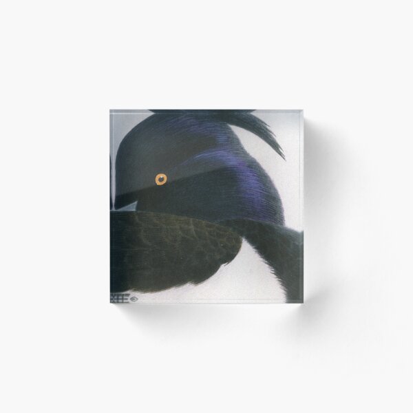 Tufted Duck Acrylic Block
