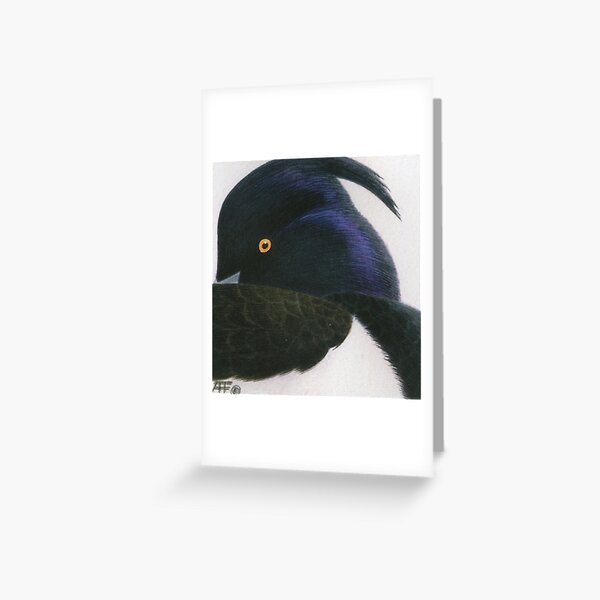 Tufted Duck Greeting Card