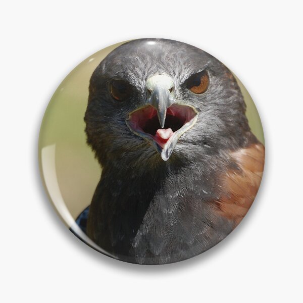 Item preview, Harris Hawk designed and sold by Declan Carr.