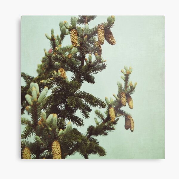 Pine Cone Lane Metal Print
