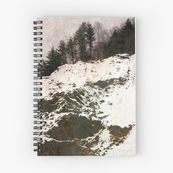 Item preview, Chasing Andrew Wyeth designed and sold by Elizabeth "Tibby" Steedly.