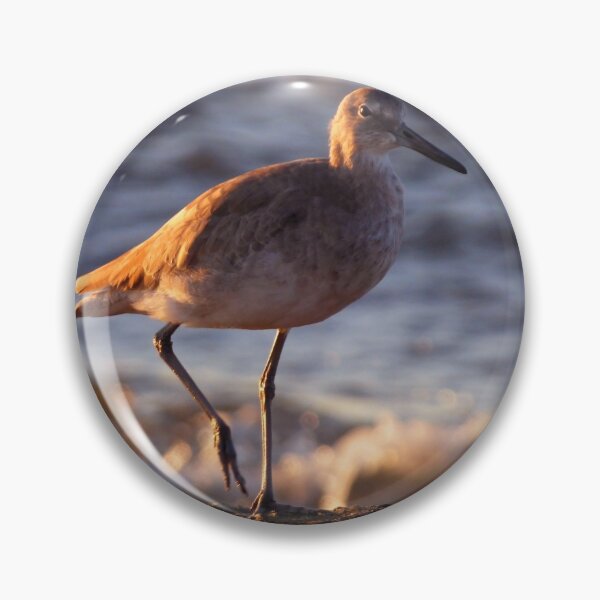 Item preview, Friendly Willet designed and sold by Elizabeth "Tibby" Steedly.