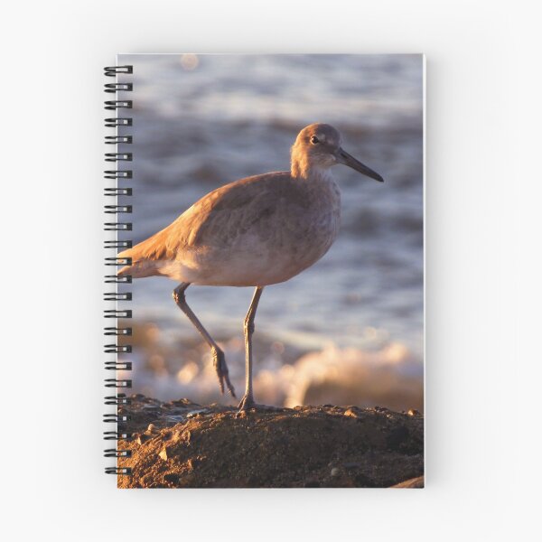 Item preview, Friendly Willet designed and sold by Elizabeth "Tibby" Steedly.