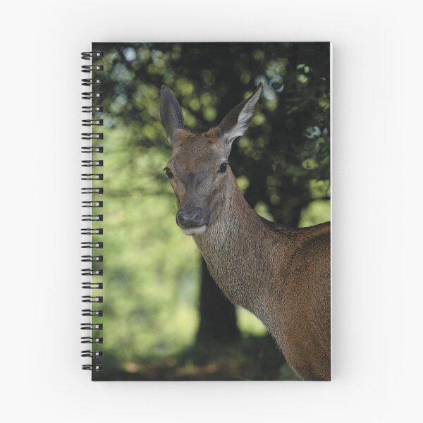 Item preview, Red Deer Close-Up designed and sold by rawshutterbug.