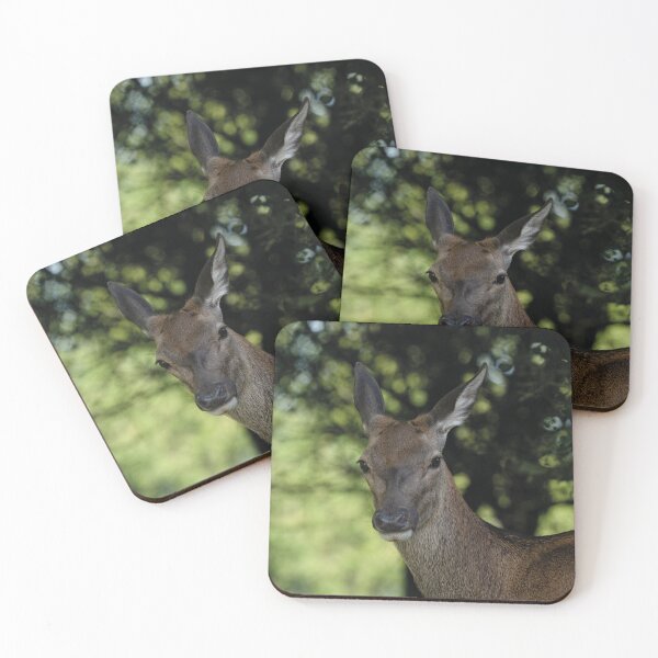 Item preview, Red Deer Close-Up designed and sold by rawshutterbug.