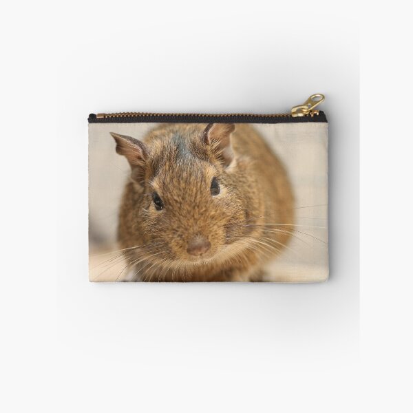 Item preview, Degus designed and sold by Jon Lees.