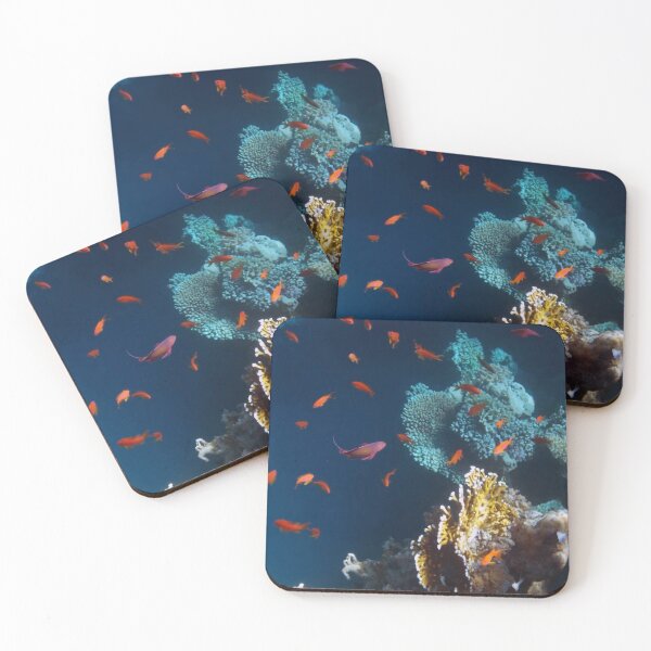 Colorful and Beautiful Sealife photography Coasters (Set of 4)