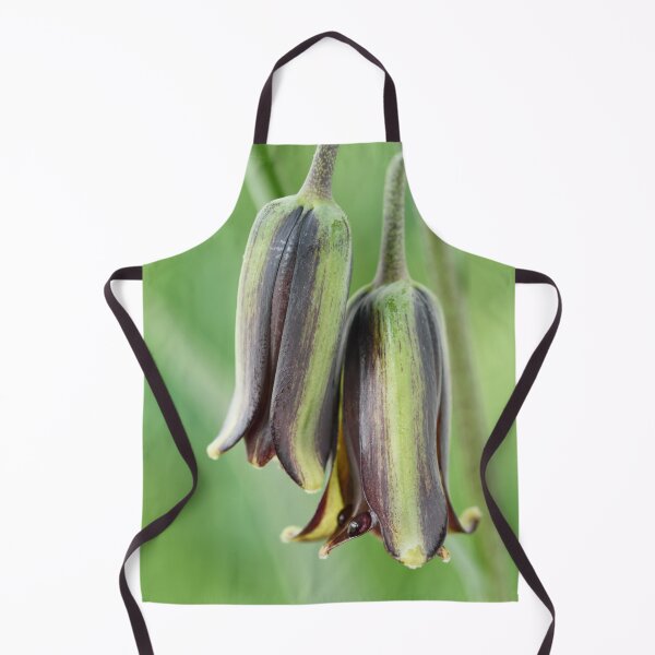 Item preview, Fritillaria elwesii  Fritillary  designed and sold by Chris Burrows.