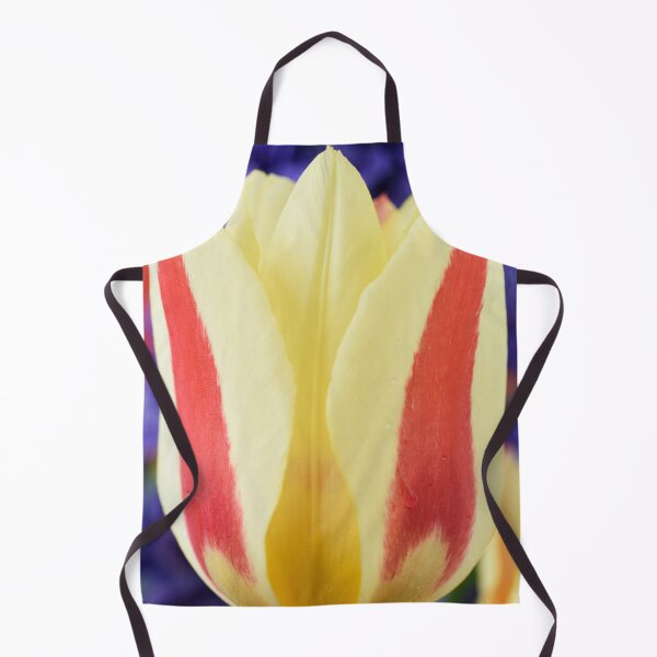 Item preview, Tulipa 'Gluck' Kaufmanniana Tulip designed and sold by Chris Burrows.