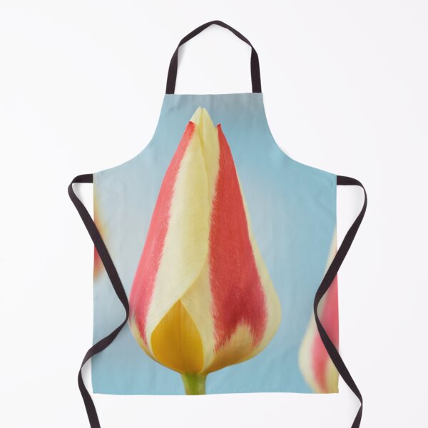 Item preview, Tulipa 'Gluck' Kaufmanniana Tulip designed and sold by Chris Burrows.
