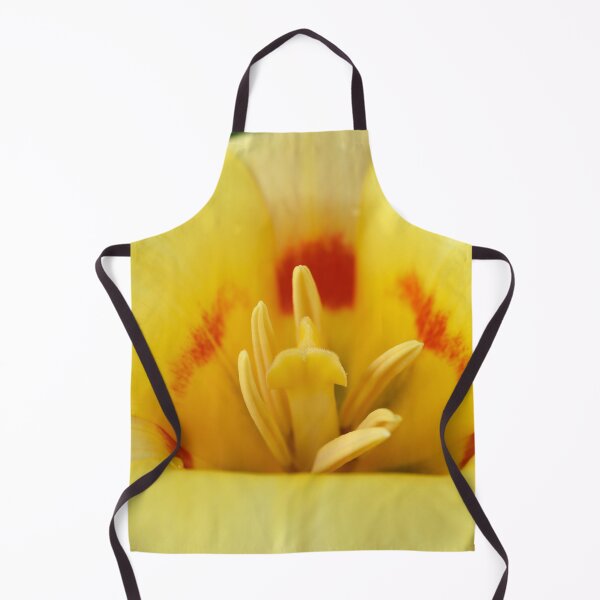 Item preview, Tulipa 'Gluck' Kaufmanniana Tulip designed and sold by Chris Burrows.