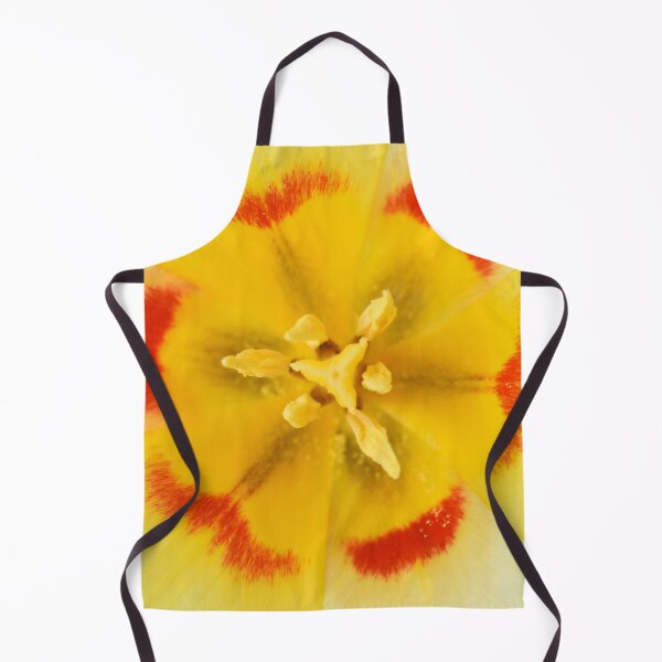 Item preview, Tulipa 'Gluck' Kaufmanniana Tulip designed and sold by Chris Burrows.