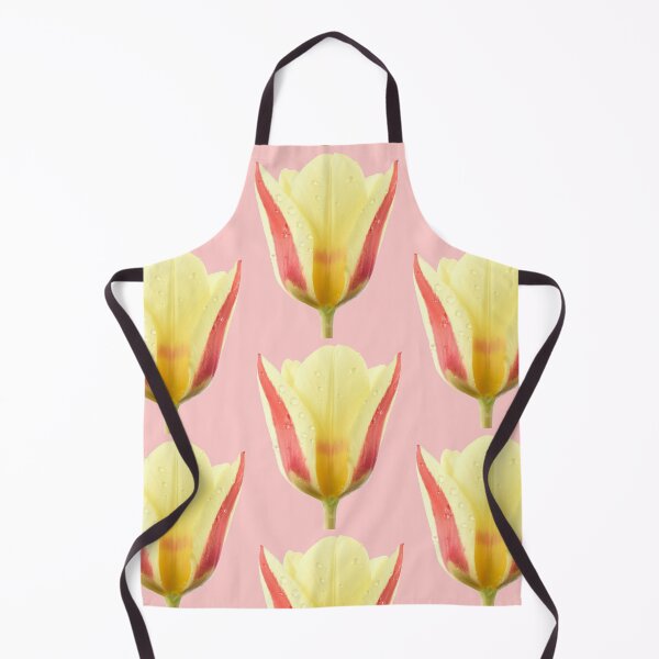 Item preview, Tulipa 'Gluck'  Kaufmanniana  Tulip designed and sold by Chris Burrows.