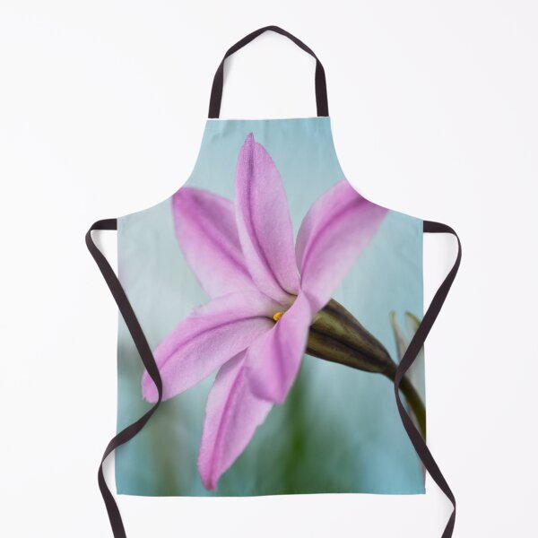 Item preview, Ipheion 'Tessa' Spring starflower designed and sold by Chris Burrows.