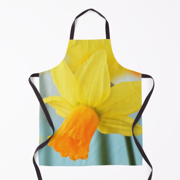 Item preview, Narcissus  'Jetfire'   AGM  Daffodil  Div.  6 Cyclamineus   designed and sold by Chris Burrows.