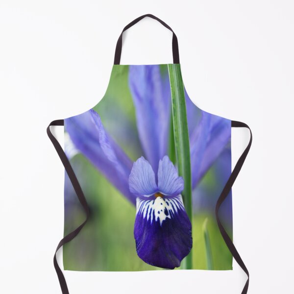 Item preview, Iris 'Fabiola' Reticulata designed and sold by Chris Burrows.