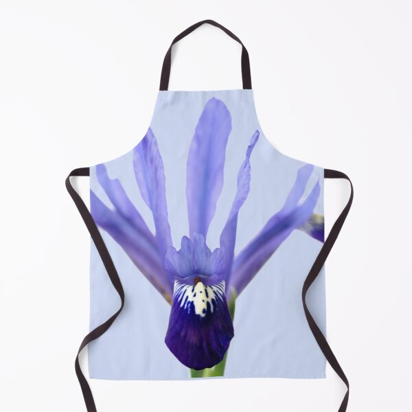Item preview, Iris 'Fabiola' Reticulata designed and sold by Chris Burrows.