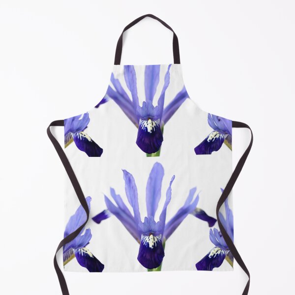 Item preview, Iris 'Fabiola' Reticulata designed and sold by Chris Burrows.