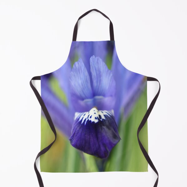 Item preview, Iris 'Fabiola' Reticulata designed and sold by Chris Burrows.
