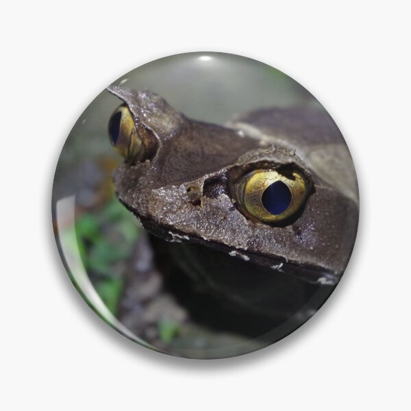 Item preview, Kobayashi's Horned Frog designed and sold by Steven Allain.