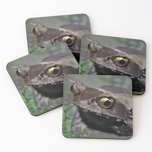 Item preview, Kobayashi's Horned Frog designed and sold by Steven Allain.