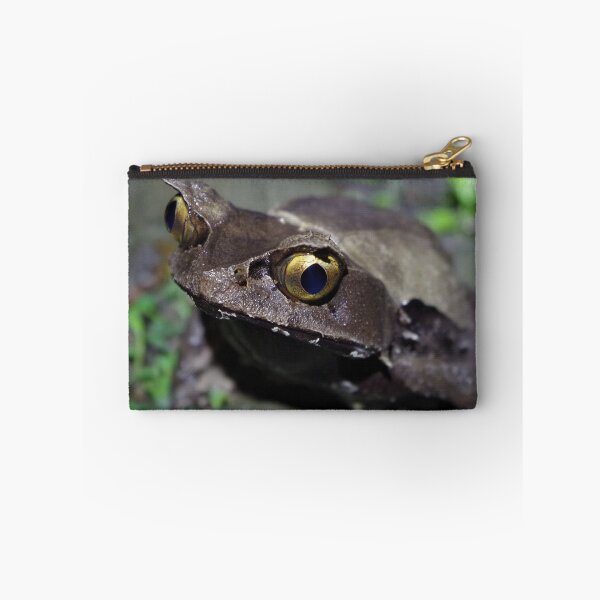 Item preview, Kobayashi's Horned Frog designed and sold by Steven Allain.