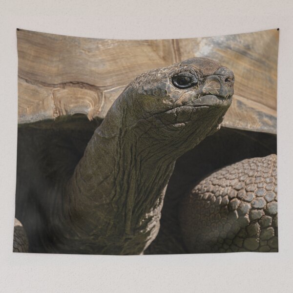 Item preview, Giant Tortoise designed and sold by rawshutterbug.