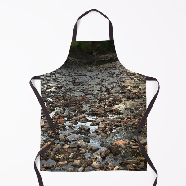 Item preview, Photo of River Rock with Bridge in Background - Tomahawk Creek Overland Park KS designed and sold by Zen Goat.
