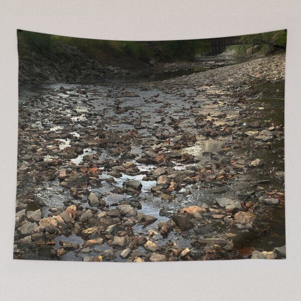 Item preview, Photo of River Rock with Bridge in Background - Tomahawk Creek Overland Park KS designed and sold by Zen  Goat.