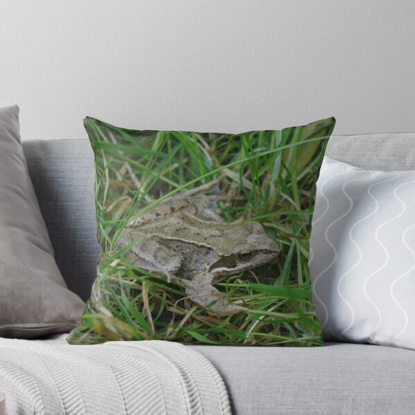 Item preview, Common Frog designed and sold by Steven Allain.