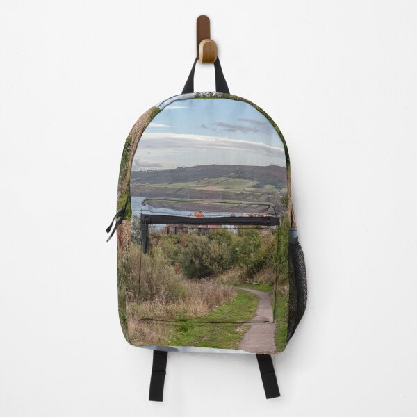 Item preview, The Path to Robin Hood's Bay designed and sold by Steve H Clark.